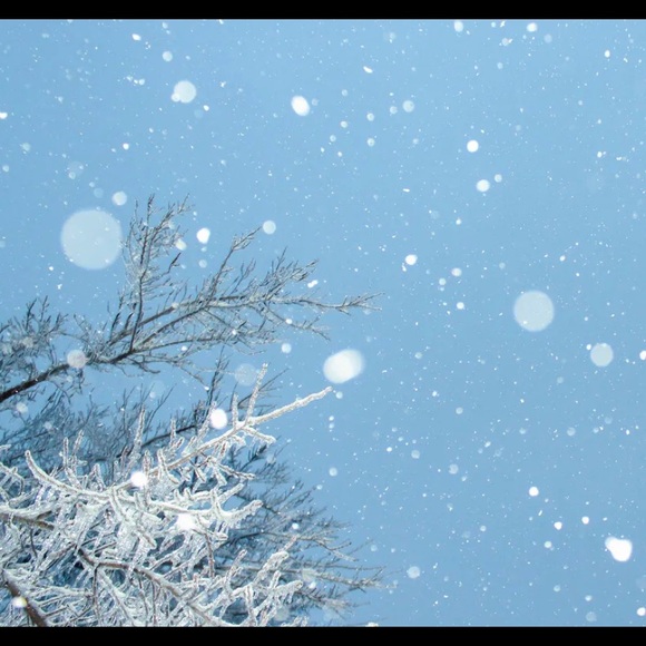 VACATION - Picture 2 of 4